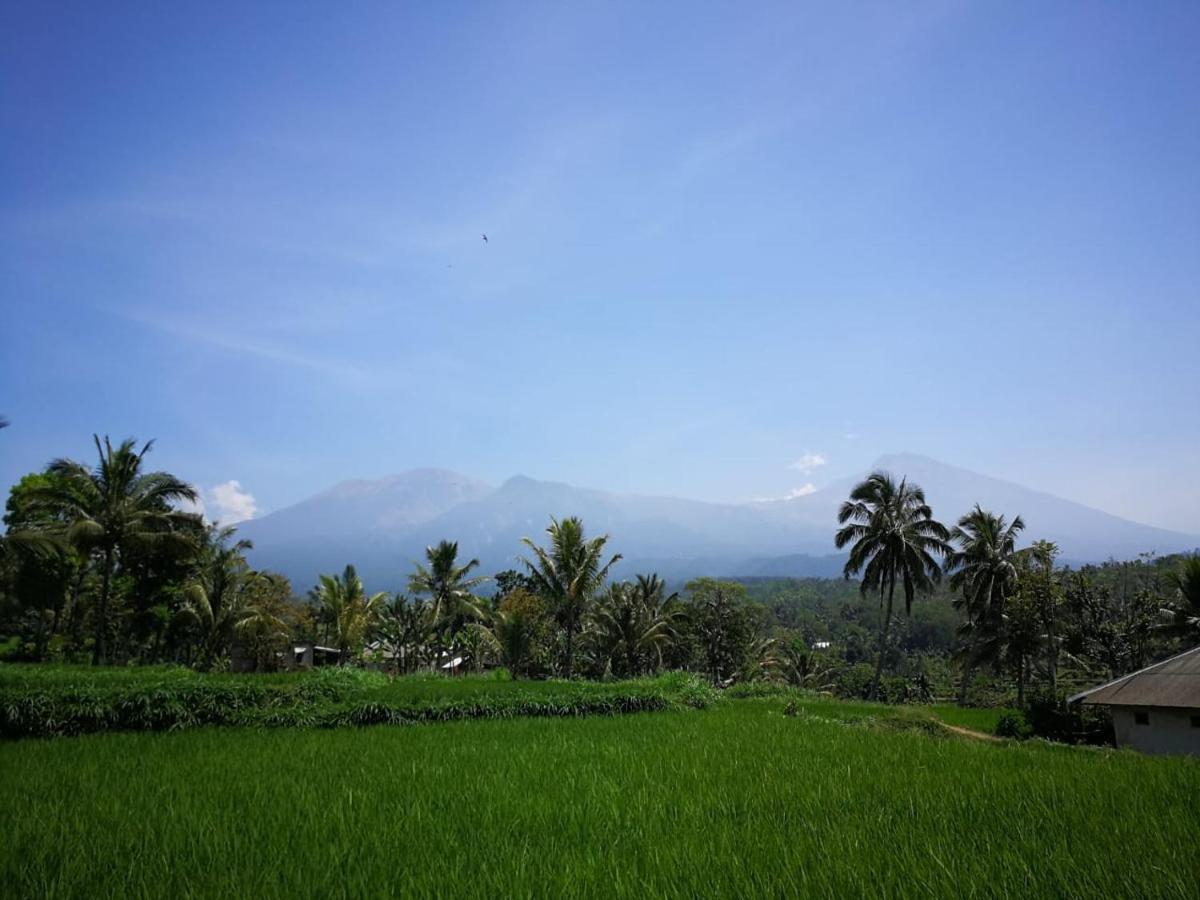 Ariata Arya Hostel Kuta  Экстерьер фото
